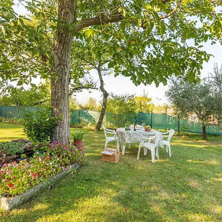 Mongili - Il Moro Chiusi